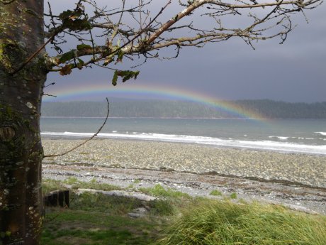 My Souls's Desire is Chasing Rainbows