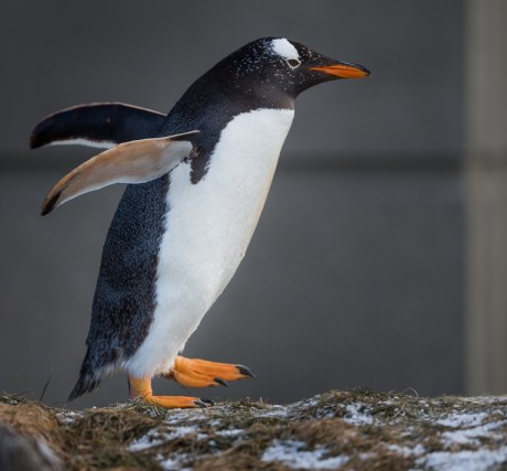 New Life-Ready for Takeoff!