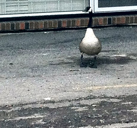 I COMPLETE ME, WOMAN!